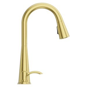 Barulli 1-Handle Pull-Down Kitchen Faucet