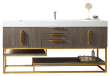 Load image into Gallery viewer, Columbia 72&quot; Single Vanity, Ash Gray, Radiant Gold w/ Glossy White Composite Top James Martin Vanities